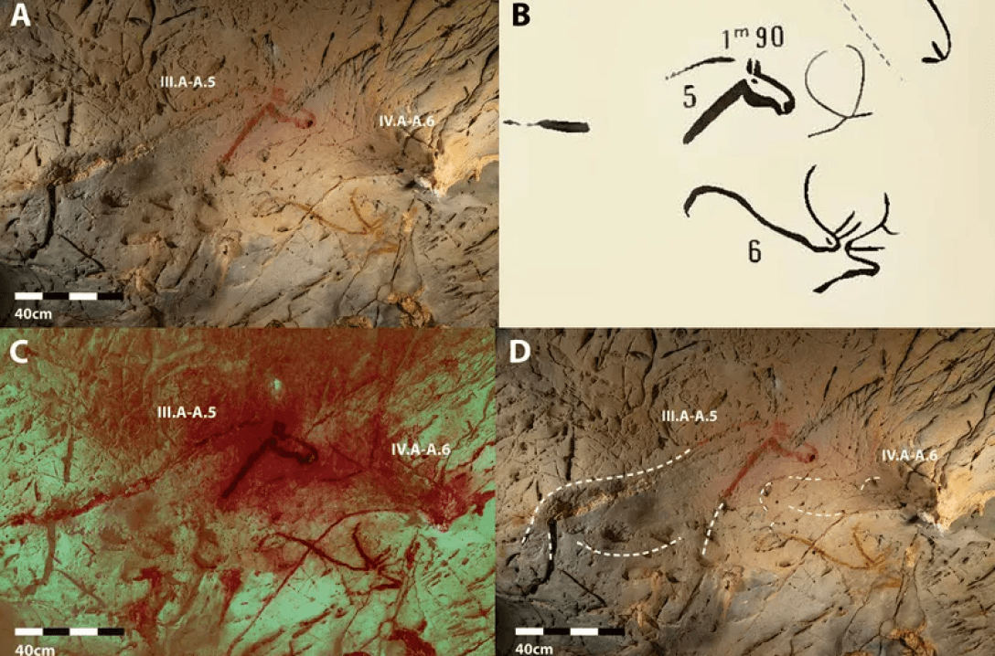 Science and Technology – Discovering the Spanish Caves: New Prehistoric Drawings You Can’t See with the Naked Eye